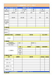 IDP个人发展计划表格