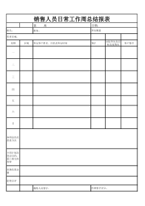 销售人员日常工作周总结报表