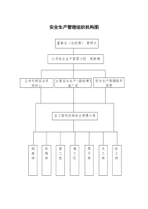 安全生产管理组织机构图