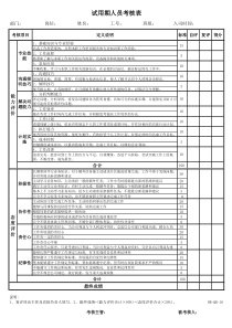 试用期人员考核表