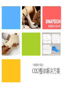 (DNAERP)鞋业O2O一体化解决方案XXXX0614