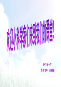 《认识几种常见的岩石》