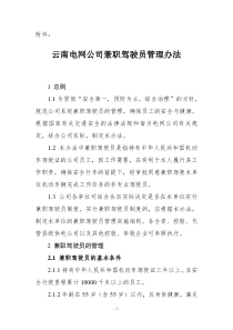 云南电网公司兼职驾驶员管理办法