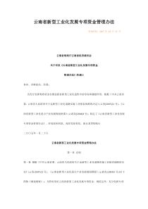 云南省新型工业化发展专项资金管理办法