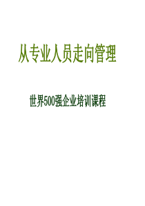 从专业人员走向管理(世界500强企业培训课程-159页精选文档