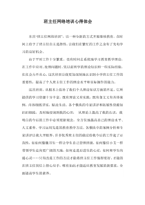 班主任网络培训心得体会