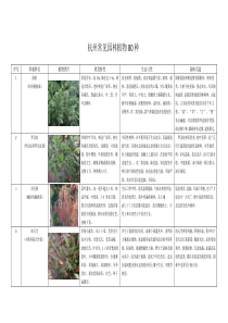 杭州常见园林植物80种