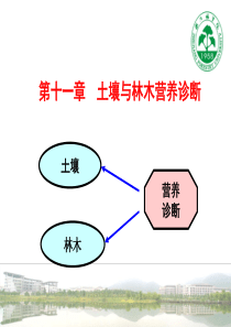 土壤与林木营养诊断