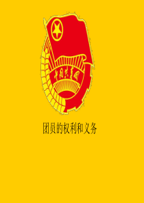 团员的权利与义务