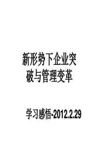 新形势下的企业突破与管理变革2