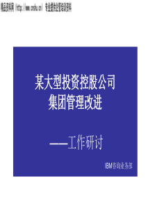 普华永道--某大型投资控股公司集团管理改进（PPT39页）