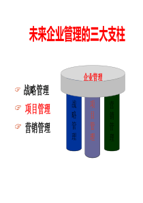 未来企业管理的三大支柱(1)