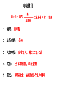 光合作用第1第课时第2课时-浙教版-科学八年级下