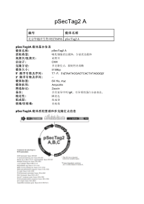 pSecTag2A哺乳动物表达载体说明