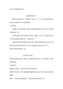 某公司管理体系参考