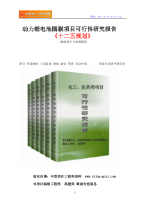 动力锂电池隔膜项目可行性研究报告