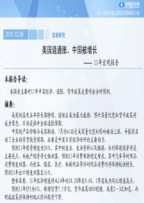 11月宏观报告――美国造通胀、中国被增长  ★国泰君安★