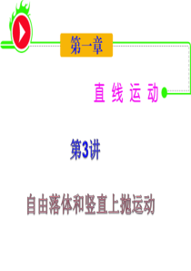 2012届湖南人教版学海导航新课标高中总复习(第1轮)物理：第1章_第3讲_自由落体和竖直上抛运动