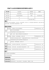 某地产企业信息资源部信息管理职务说明书