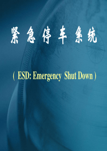 ESD紧急停车系统