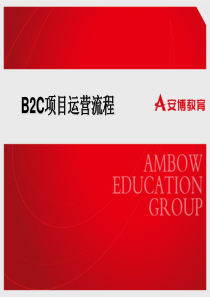 11 B2C综合运营项目1_流程