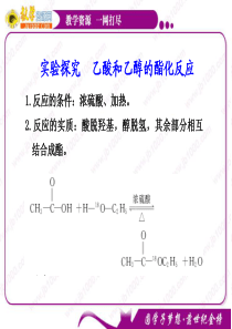 2011年高考一轮复习《化学实验》模块课件：实验探究6 乙酸和乙醇的酯化反应 (新人教版)