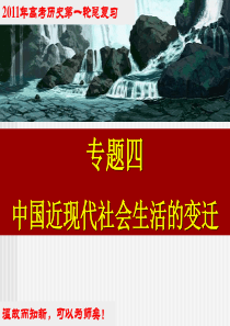 2011年高考一轮复习课件专题13.近现代社会生活的变迁