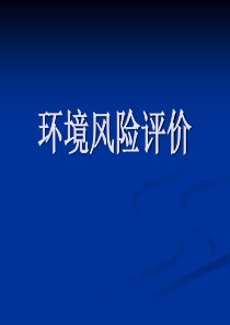 95环境风险评价