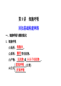 2012届高考生物一轮复习精品课件第9讲细胞呼吸【浙科版】共58张ppt