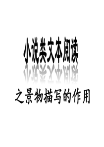 2014高考语文复习课件：小说阅读之环境描写(12张PPT)