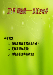 高中生物《第三章 第一节 细胞膜 系统的边界》课件5 新人教版必修1