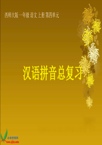 西师大版一年级语文上册《拼音总复习》PPT课件