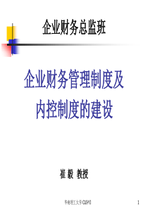 企业内控及财务管理制度建设