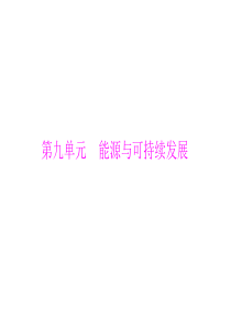 广东省2013年中考物理二轮专题复习课件：能源与可持续发展