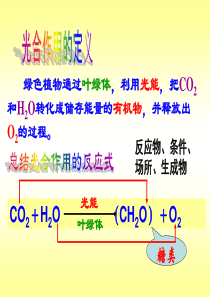 第五章第四课时能量之源――光与光合作用的过程第三课时