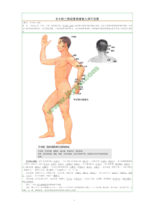 人体穴位详解(高清图片)