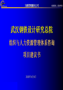 九略-武汉钢铁设计研究总院组织与人力资源管理体系咨询项目建议书