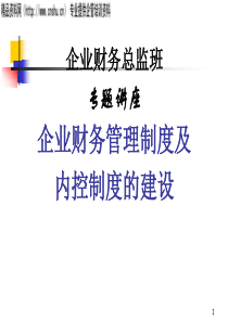 企业财务管理制度及内控制度的建设(1)