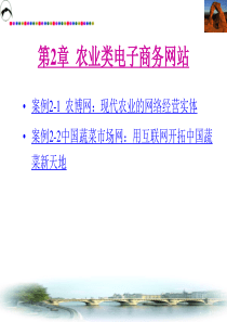 电子商务案例分析-农业类