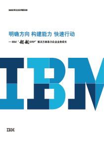 IBM“超越ERP”解决方案