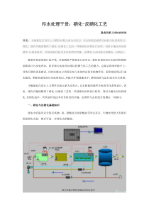 污水处理干货：硝化-反硝化工艺