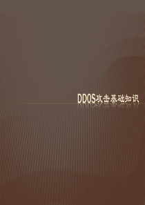 DDoS和漏洞