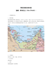 中东地区市场调查-阿联酋