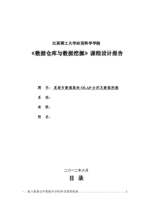 《数据仓库与数据挖掘》课程设计方案报告模板