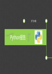 Python报告