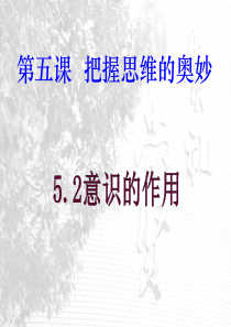 高中思想政治人教版必修4教案-政治必修四-2-5-2-意识的作用(课件)