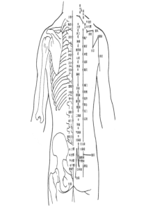 人体全身穴位图解全解