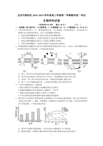 2015朝阳期末试题及答案