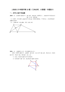 上海初三中考数学第23题专项复习