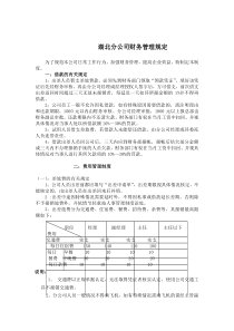 湖北分公司财务管理规定